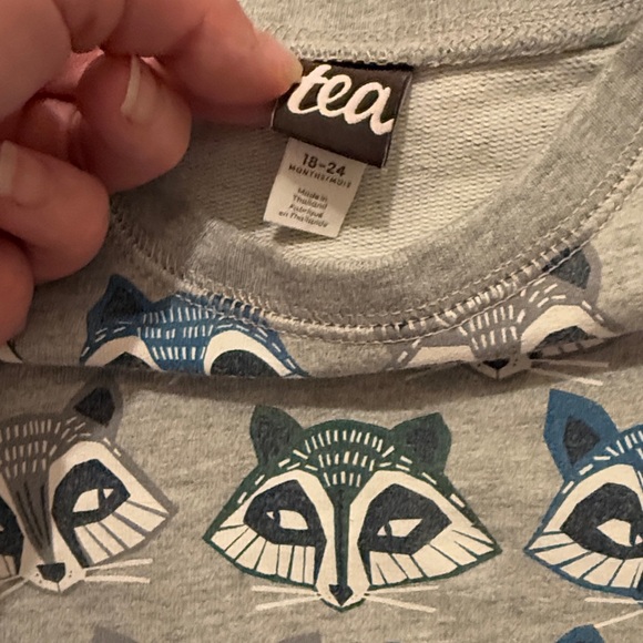 Tea Collection 100% Cotton Heather Grey Raccoon Graphic Pullover Sweatshirt - Picture 2 of 11